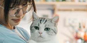 Pets_Story